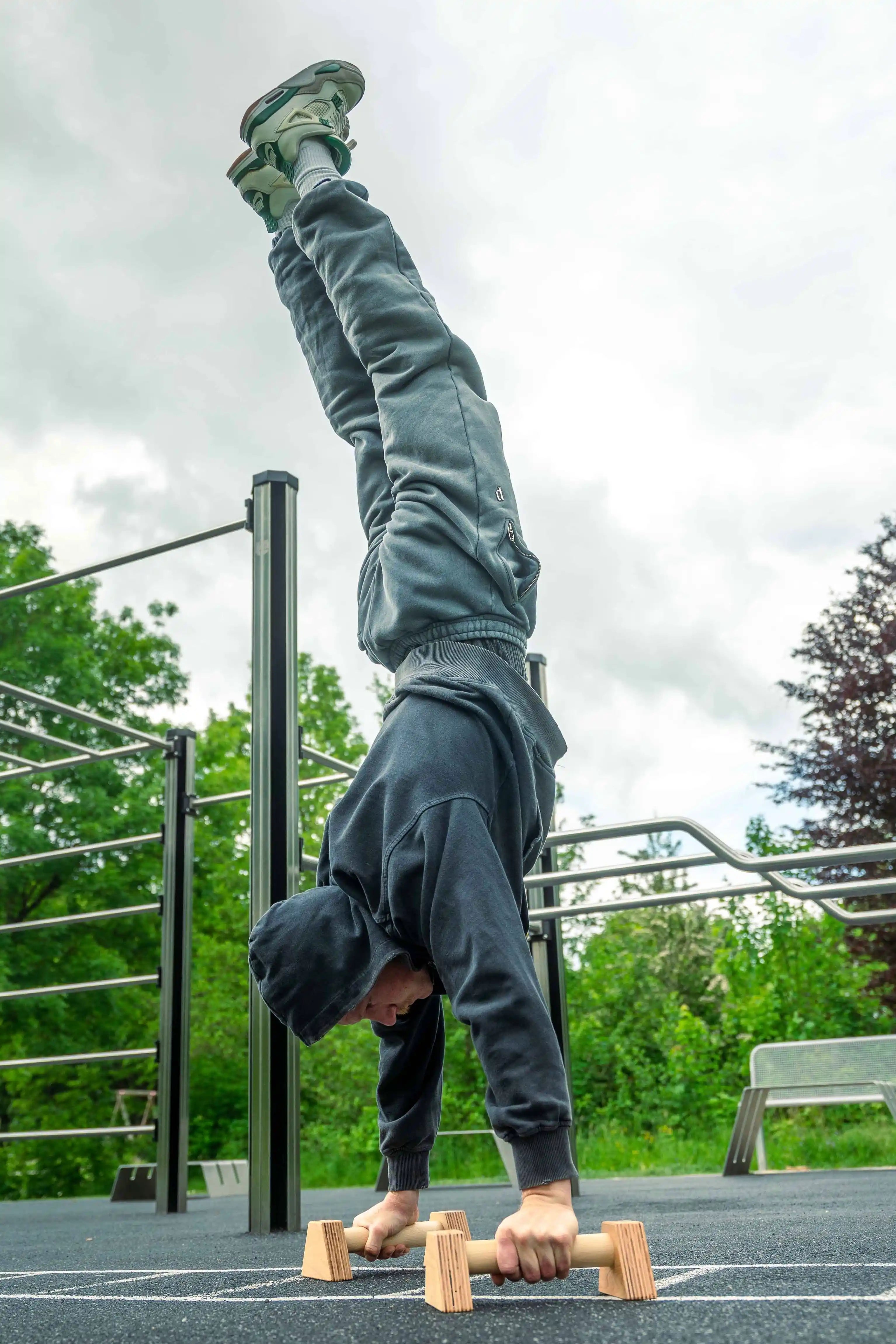 Parallettes Move