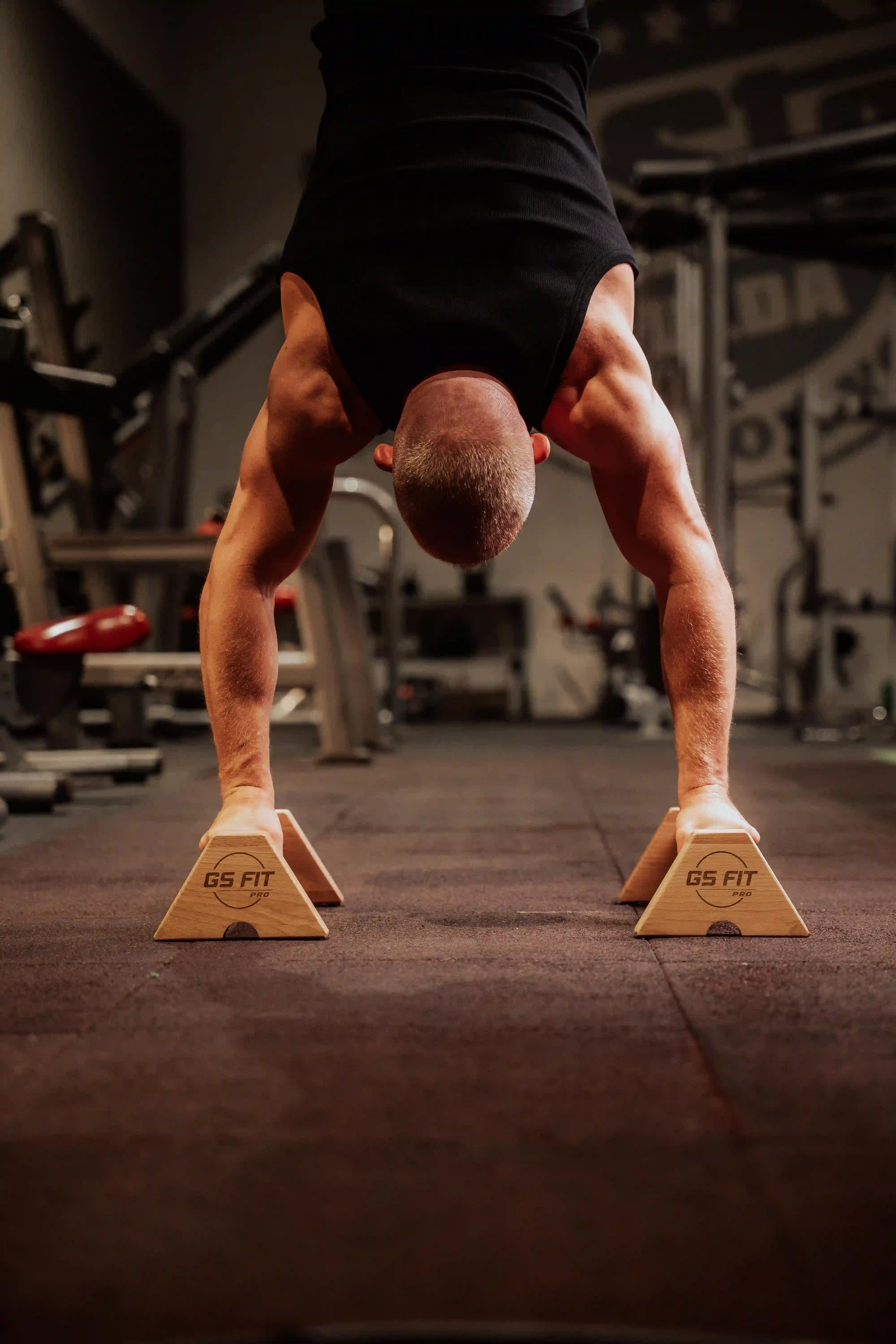 Parallettes Pro